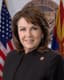 Sine Kerr — Republican State Senator for Arizona District 25 (official headshot)
