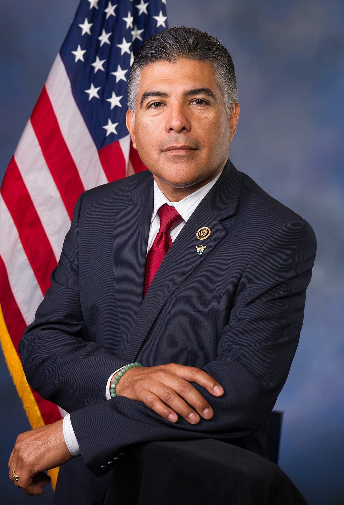 Rep. Tony Cárdenas headshot Rep. Tony Cárdenas headshot